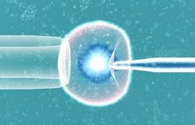 Onderzoekers voorspellen IVF-falen met genexpressieprofiel