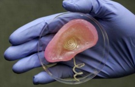 3D printer for ears and noses in the VUmc