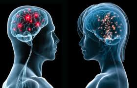 Researchers established “mind to mind” communication in humans
